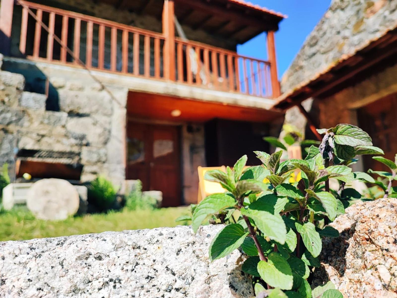 Casa Boletus Villa Castro Laboreiro Exterior photo